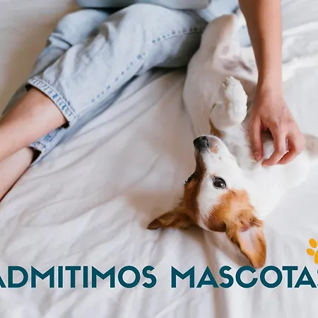 Casa San Vicente Do Mar 3000 *